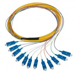 Fiber Optic MPO Fanout Pigtail SC